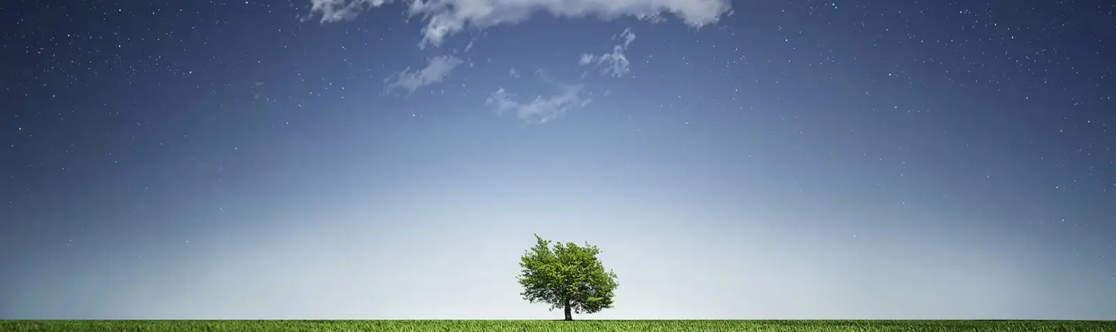 Tips stress bij scheiding